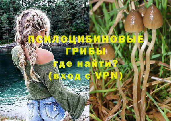 2c-b Алексеевка