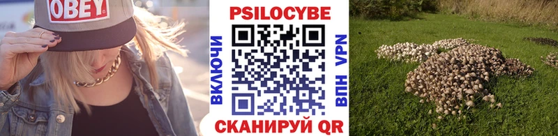 Псилоцибиновые грибы Psilocybine cubensis  что такое наркотик  Новая Ляля 